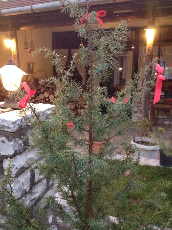 Guest house Gonia 3*
